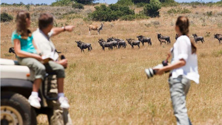 How to Plan a Multi-Park Kenya Safari