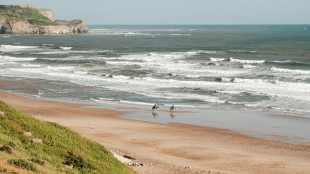 Saltmoore: Luxury, Wellness, and Dining on the North Yorkshire Coast
