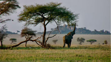 Discover Tanzania: A Journey Through the Heart of East Africa
