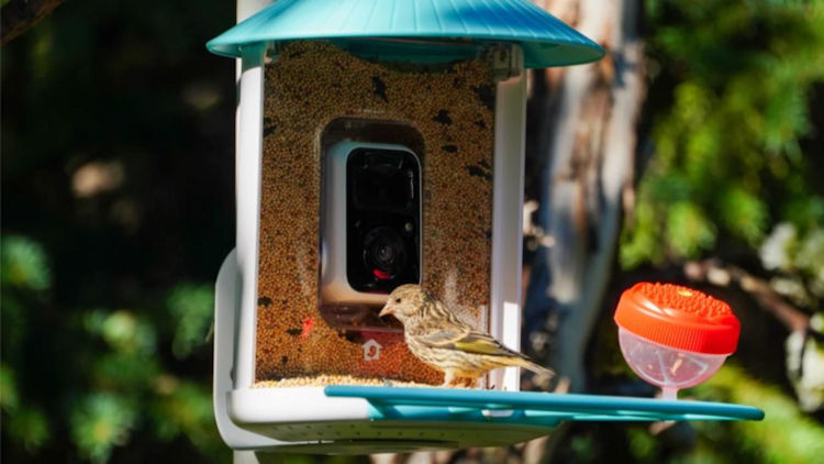 A Luxurious Nature Theater in Your Private Backyard: How Smart Birdwatching Has Become Part of an Upscale Lifestyle