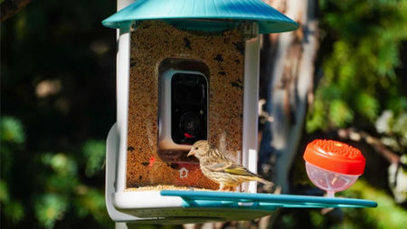 A Luxurious Nature Theater in Your Private Backyard: How Smart Birdwatching Has Become Part of an Upscale Lifestyle