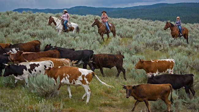 Saddle Up with Cowgirl Legends at The Resort at Paws Up in Montana