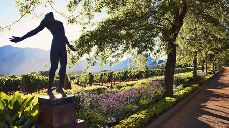 South Africa: Discover the Unexpected Art Scene in the Stellenbosch Winelands