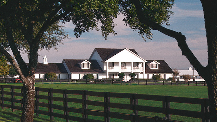 Live Like a Ewing with Lavish Tour Package at Southfork Ranch