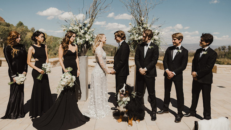 Say 'I Do' with Canine Ambassadors Alongside You at Montage Deer Valley