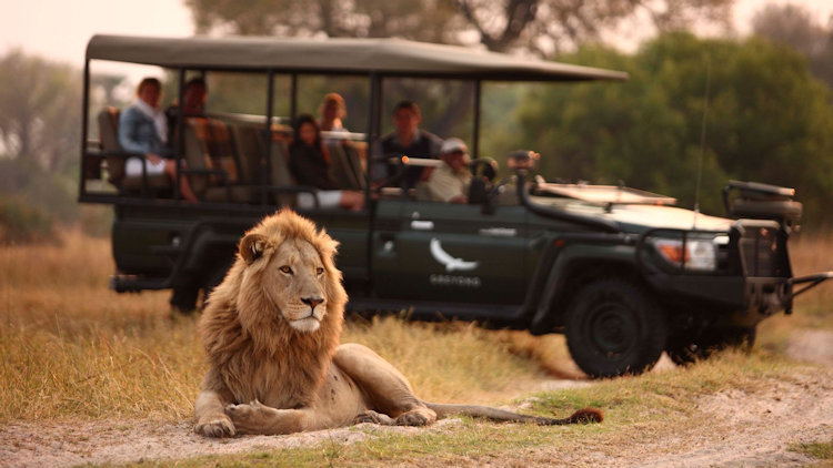 best luxury family safari africa