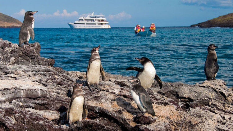 A Luxury Journey Through the Iconic Galapagos Islands