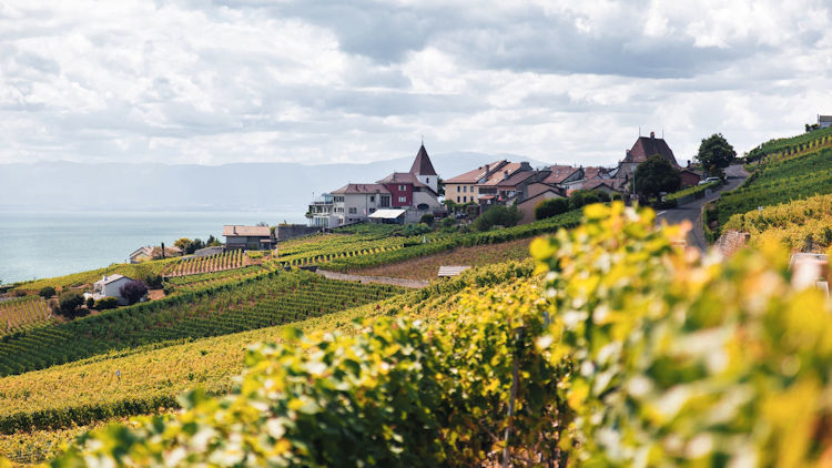 What to do this Fall in Switzerland's Lake Geneva Region