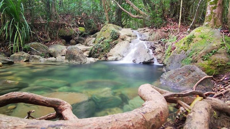 Banyan Tree Krabi Invites Guests to Take a Bath in the Forest 