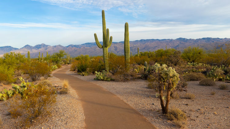 Enjoy a Leisurely Trip Through the State of Arizona