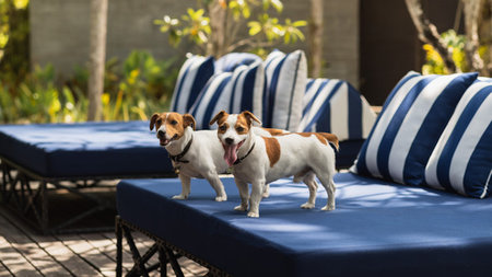 The Slate Phuket Rolls Out the Welcome Mat for Pampered Pooches