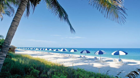 Destination Relaxation: Unwind and Recharge at LaPlaya Beach & Golf Resort 