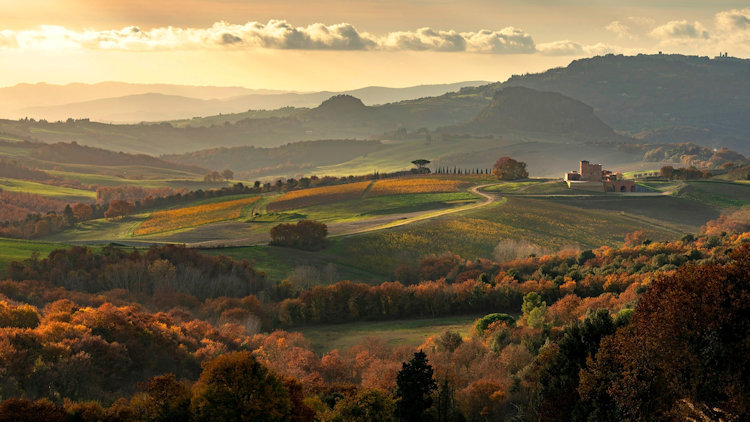 A Taste of Tuscany at Monterosola Winery