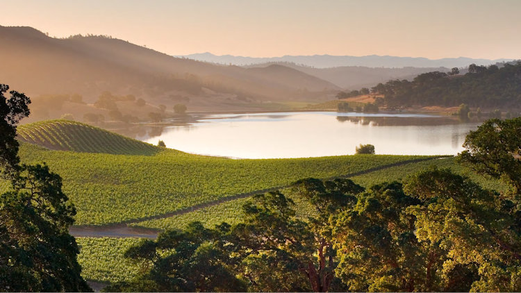 Six Senses Will Bring the Brand's Trademark Wellness and Sustainability to Napa Valley 