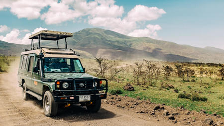 Why Should You Go on a Safari During Your Next Vacation?