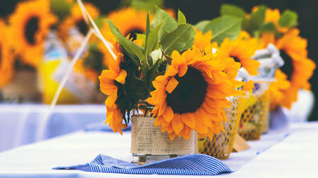 How to Choose the Perfect Flowers for Your Home's Interior