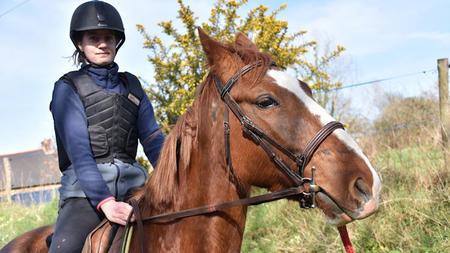 6 Pieces of Equipment You Need to Be a Successful Horse Rider