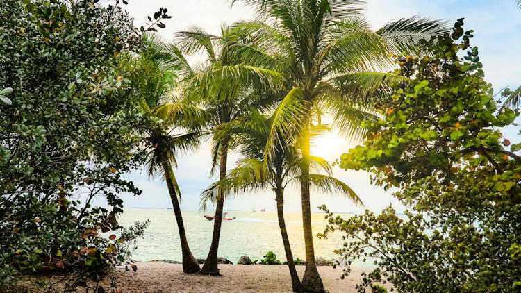 How to Plan the Perfect Spring Escape to Florida