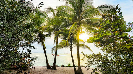 How to Plan the Perfect Spring Escape to Florida