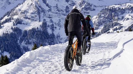 Exploring Scenic Cycling Routes for Adventure Enthusiasts Worldwide