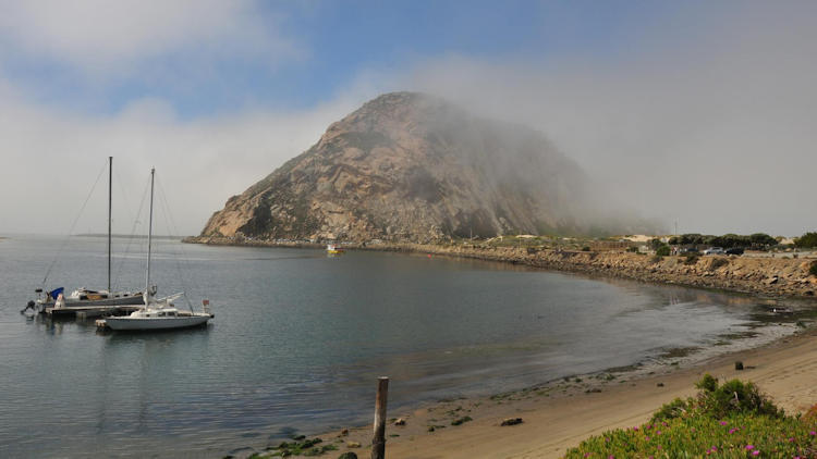 Fall in Love with California's Central Coast at Hotel SLO