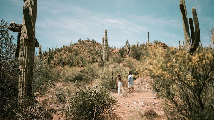 Things to Do in Phoenix, Arizona