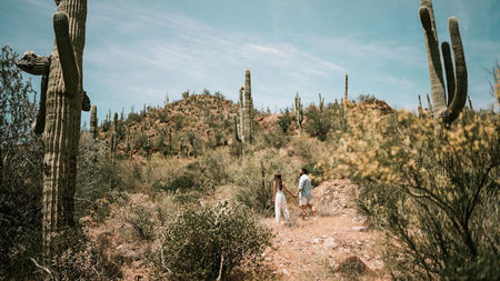 Things to Do in Phoenix, Arizona