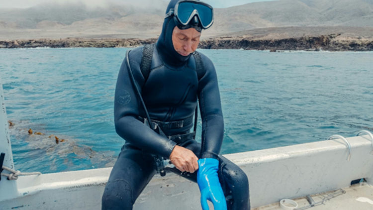Complete Guide to Diving Equipment: Essential Gear for Scuba Divers