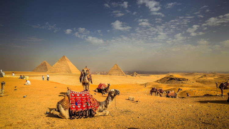 Why You Should Travel to Egypt: A Complete Egypt Travel Guide for Tourists