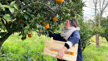 Curated Immersive Culinary Journeys Across Three Continents 