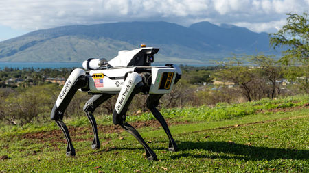 Robotic Security Dogs Are Home for the Holidays