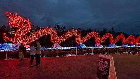 Exploring Cary, North Carolina: Top Activities and Attractions for Visitors