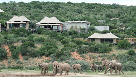 Shamwari Private Game Reserve: Dramatic landscape, spectacular viewpoints, a diversity of game and plant species