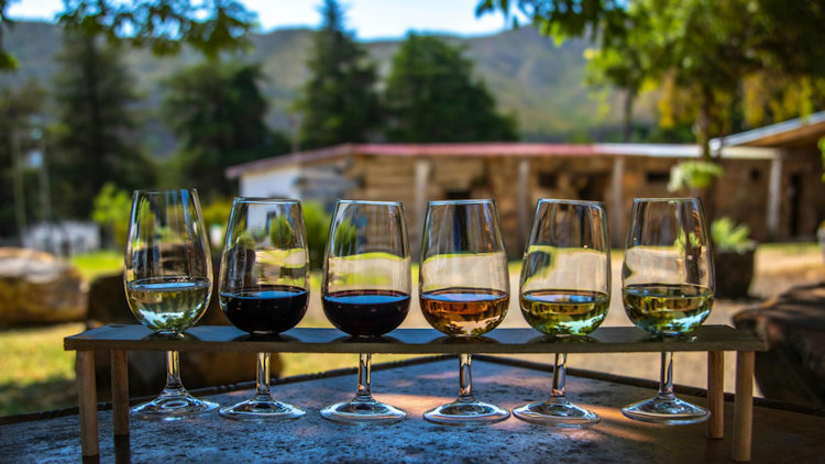 How to Plan a Memorable Outdoor Event While Traveling