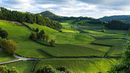 The Rise of 'Farm Charm' Travel: Immersive Stays on Working Land