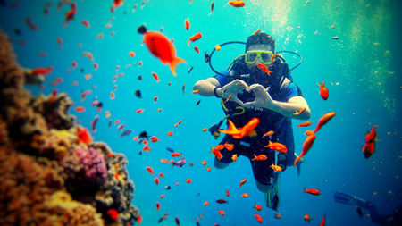 Why Every Traveler Should Try Scuba Diving: Health, Wellness & Adventure Benefits Explained