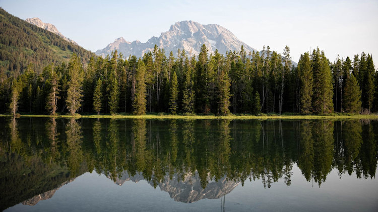 Silence: The Wilderness’s Rarest Luxury