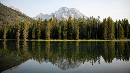 Silence: The Wilderness’s Rarest Luxury