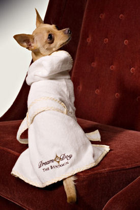 Jet Set Pet: VIP (Very Important Pet) Treatment at New York's Best Pet-Friendly Hotels