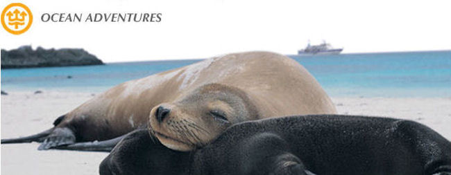 Adventure/Cruise: OceanAdventures Presents Special 5-Night Galapagos Expeditions