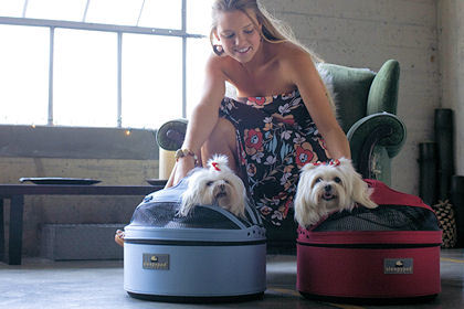 Sleepypod Pet Carrier Perfect for the Jet Set Pet