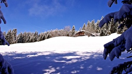 La Ferme des Petites Frasses, Luxury Ski Chalet in Megeve