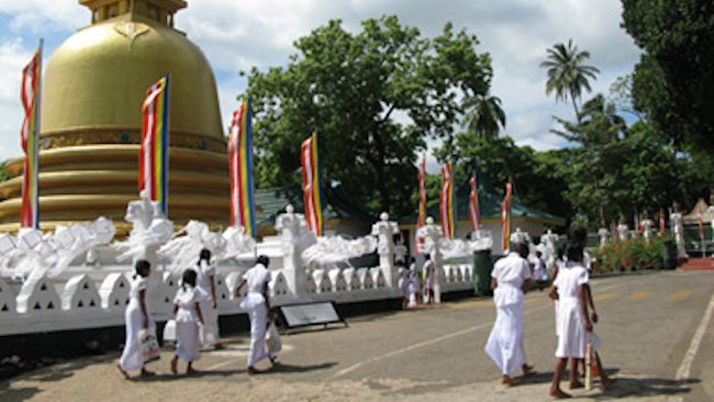 New Private Sri Lanka Tours: Tea, Elephants, Buddhism, Luxury