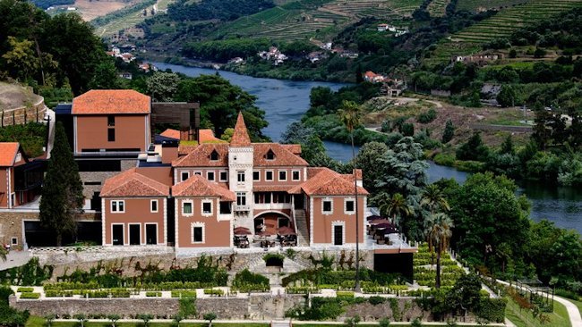 Harvest in Portugal: See the Most Beautiful Wine Country in the World