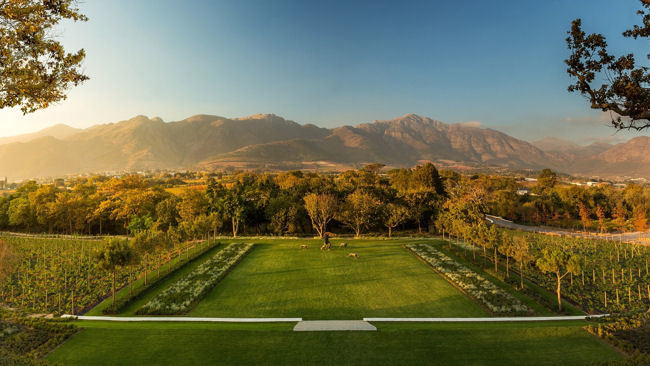 Leeu Estates to Open in South Africa's Winelands this June