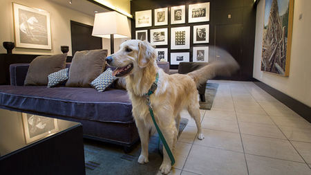 New Pet Program at Provenance Hotels