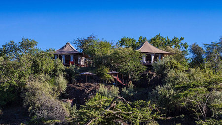 The Lion Kings of Hemingways Ol Seki Mara, Kenya 