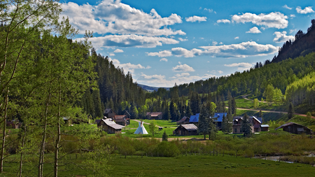 Dunton Destinations Partners with National Forest Foundation to Plant 25,000 Trees