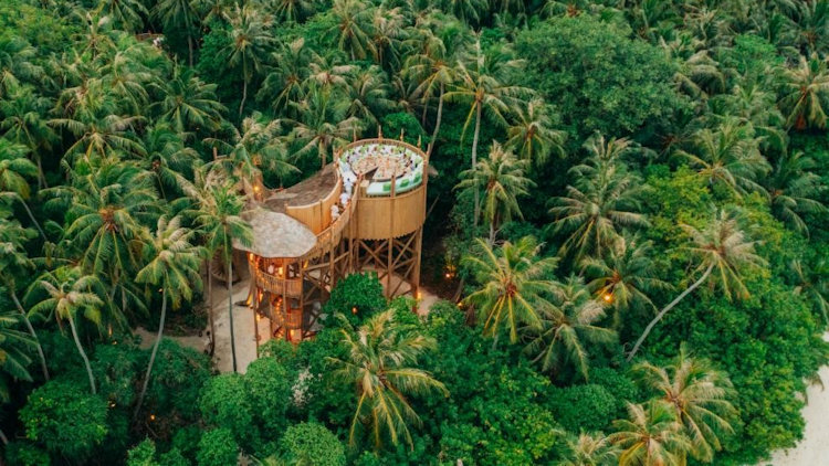 Soneva Fushi Unveils World’s First Fine-Dining Zipline Experience