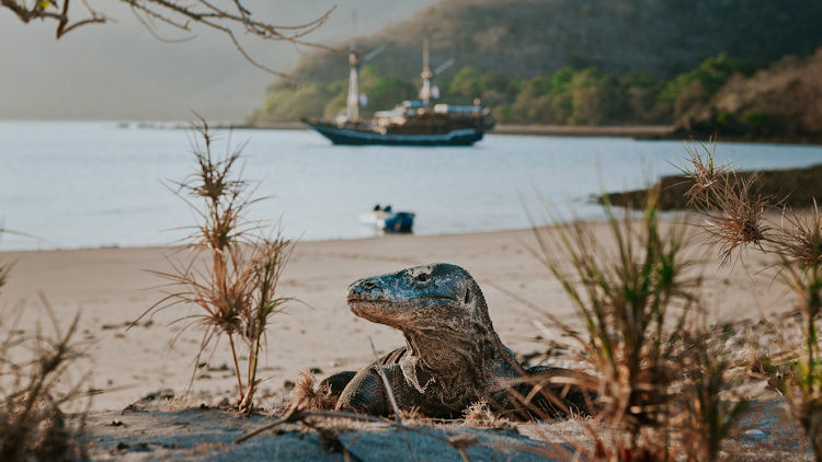 Nature Beckons: Official ‘Wonders of Nature’ that Travelers can visit right now